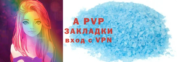 PSILOCYBIN Белокуриха