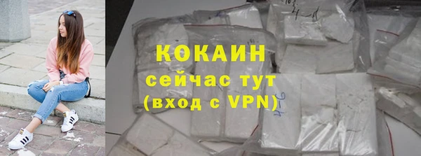 PSILOCYBIN Белокуриха