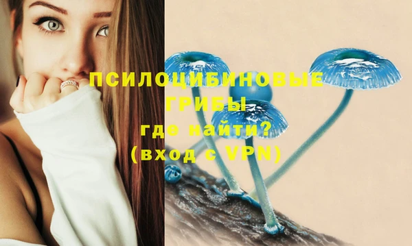мдпв Дмитриев