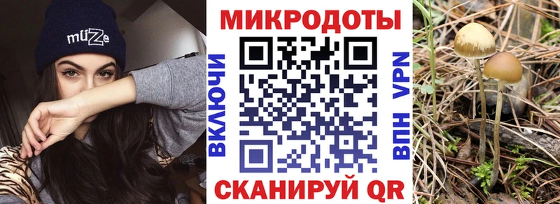 цена   Купино  Галлюциногенные грибы Cubensis 